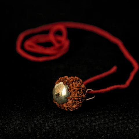 9 Mukhi Nepali Rudraksha - Nau Mukhi