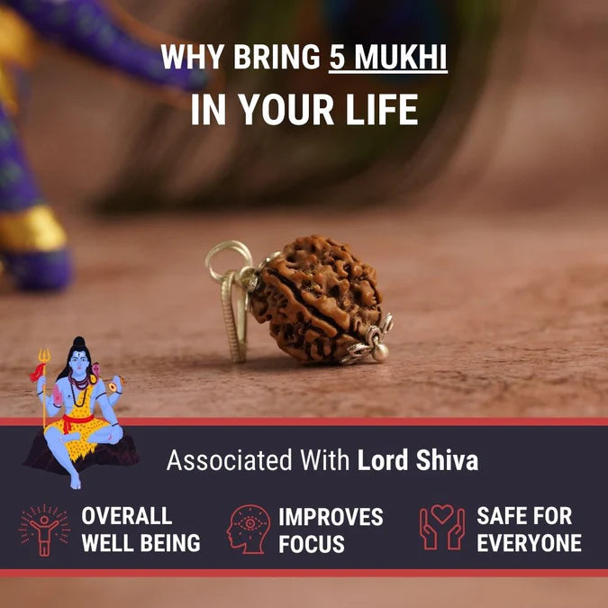 5 Mukhi Nepali Rudraksha - Paanch Mukhi