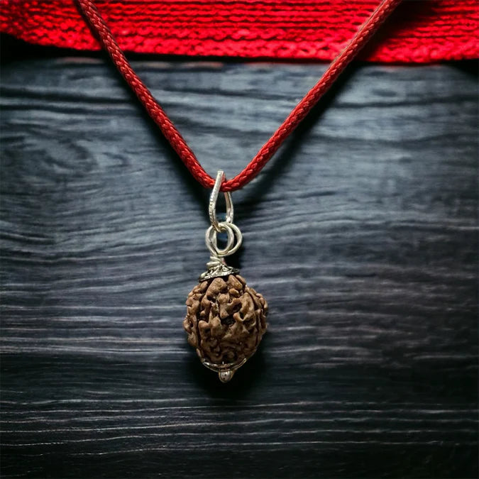 4 Mukhi Nepali Rudraksha - Chaar Mukhi