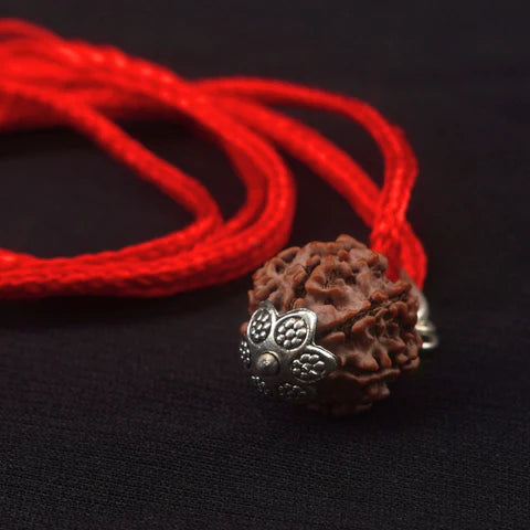 7 Mukhi Nepali Rudraksha - Saat Mukhi