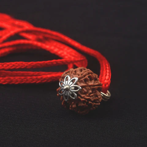 8 Mukhi Nepali Rudraksha - Aath Mukhi