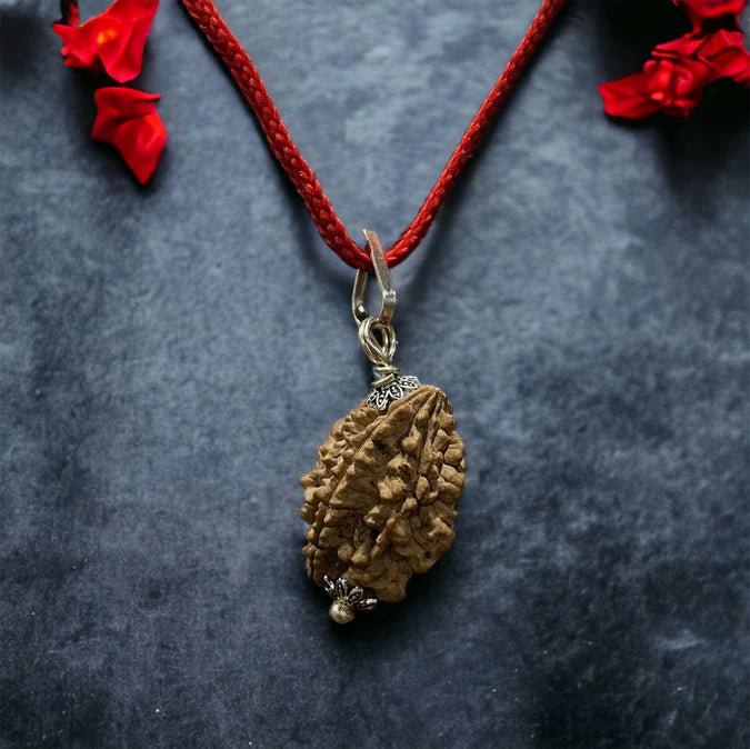 2 Mukhi Indian Rudraksha - Do Mukhi
