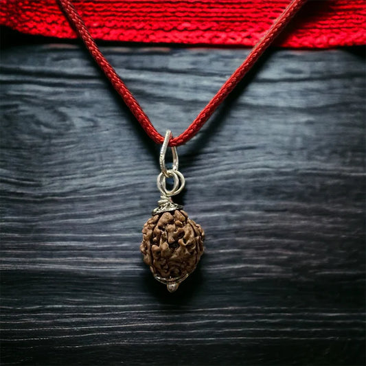 4 Mukhi Nepali Rudraksha - Chaar Mukhi