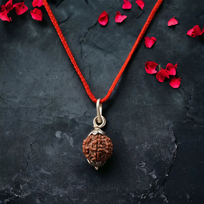 7 Mukhi Nepali Rudraksha - Saat Mukhi