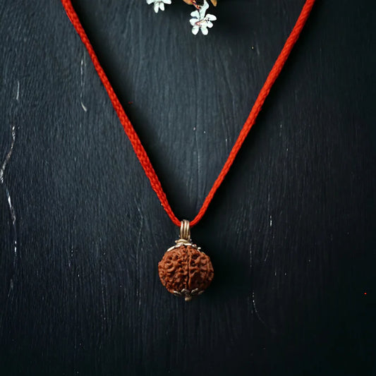 8 Mukhi Nepali Rudraksha - Aath Mukhi