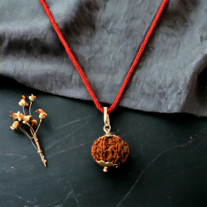 9 Mukhi Nepali Rudraksha - Nau Mukhi