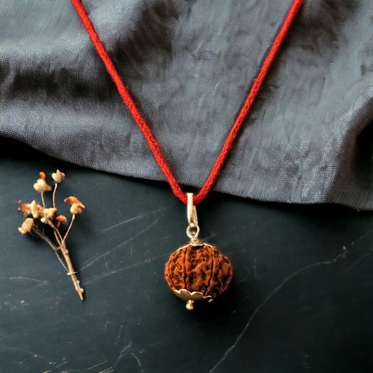9 Mukhi Nepali Rudraksha - Nau Mukhi