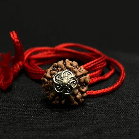 5 Mukhi Nepali Rudraksha - Paanch Mukhi